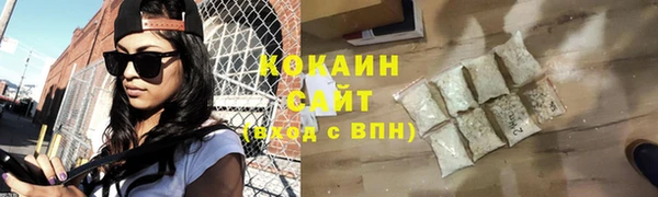 прущий лед Бородино