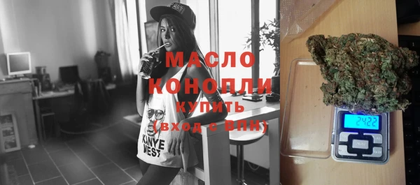 прущий лед Бородино