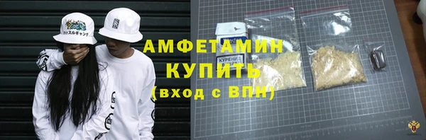 прущий лед Бородино