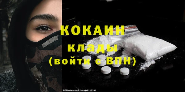 прущий лед Бородино