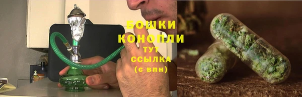 хмурый Бронницы