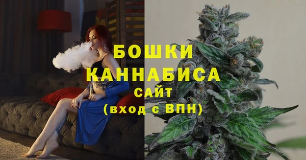 прущий лед Бородино