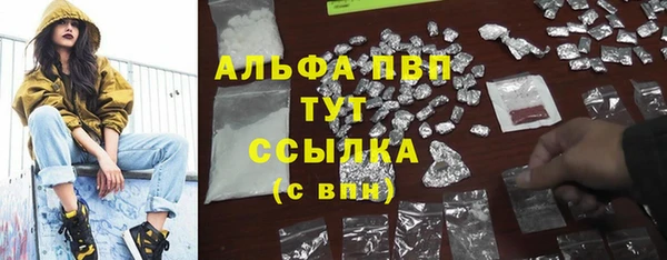 прущий лед Бородино