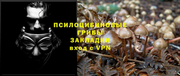 прущий лед Бородино