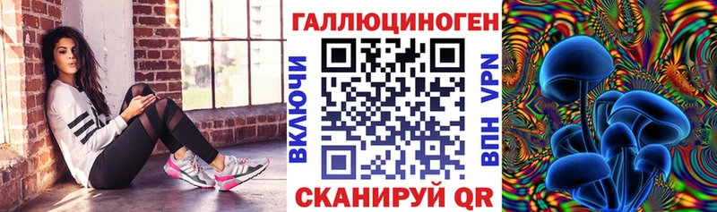 Псилоцибиновые грибы Psilocybine cubensis  Вельск 